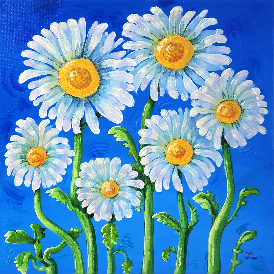'Daisies' by Matt Godwin, UV Varnished Acrylic on Stretched Canvas, 12"x12" (5/8" deep)