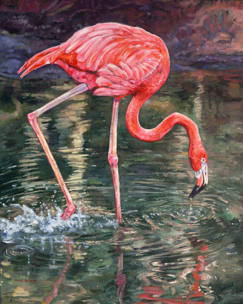 'Flamingo' by Matt Godwin, UV Varnished Acrylic on Stretched Canvas (Wired, Finished Sides, Ready to Hang), 16"x20" (5/8" deep)