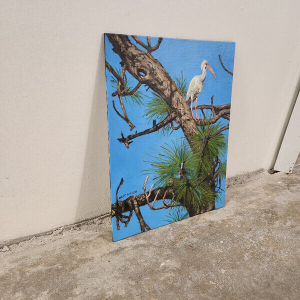 ibis in pine tree oil painting nature scene art by matt godwin 11x14 - Buy Art for Sale By Artist - Handmade in South Florida USA