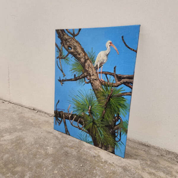 ibis in pine tree oil painting nature scene art by matt godwin 11x14 - Buy Art for Sale By Artist - Handmade in South Florida USA