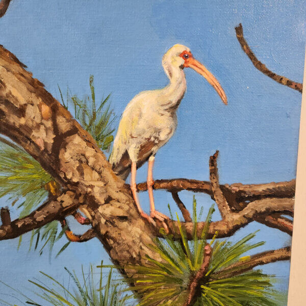 ibis in pine tree oil painting nature scene art by matt godwin 11x14 - Buy Art for Sale By Artist - Handmade in South Florida USA