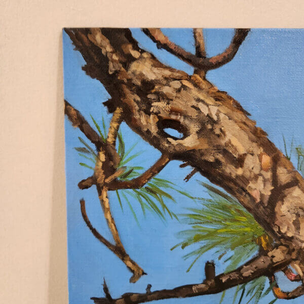 ibis in pine tree oil painting nature scene art by matt godwin 11x14 - Buy Art for Sale By Artist - Handmade in South Florida USA