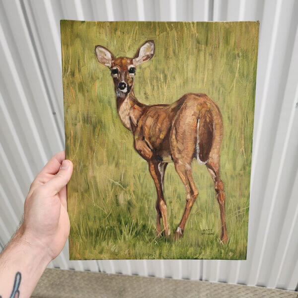 young deer original oil painting on canvas panel by matt godwin 11x14 - Buy Art for Sale By Artist - Handmade in South Florida USA