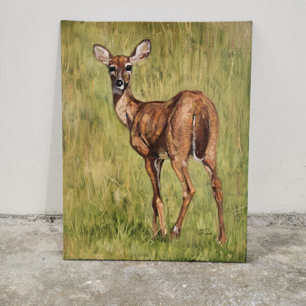 young deer original oil painting on canvas panel by matt godwin 11x14 - Buy Art for Sale By Artist - Handmade in South Florida USA