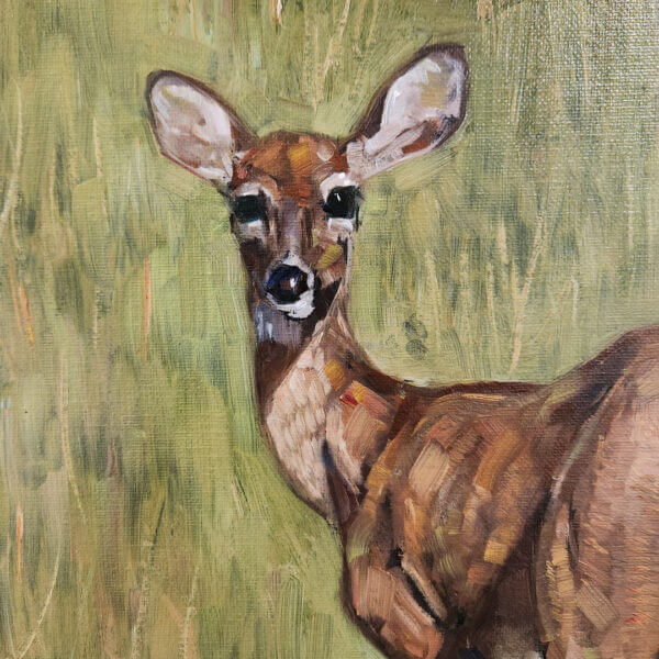 young deer original oil painting on canvas panel by matt godwin 11x14 - Buy Art for Sale By Artist - Handmade in South Florida USA