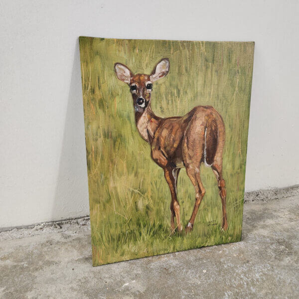 young deer original oil painting on canvas panel by matt godwin 11x14 - Buy Art for Sale By Artist - Handmade in South Florida USA