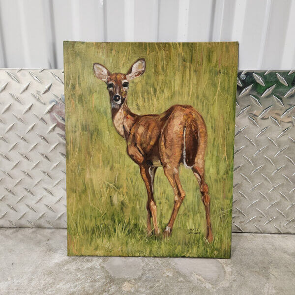 young deer original oil painting on canvas panel by matt godwin 11x14 - Buy Art for Sale By Artist - Handmade in South Florida USA