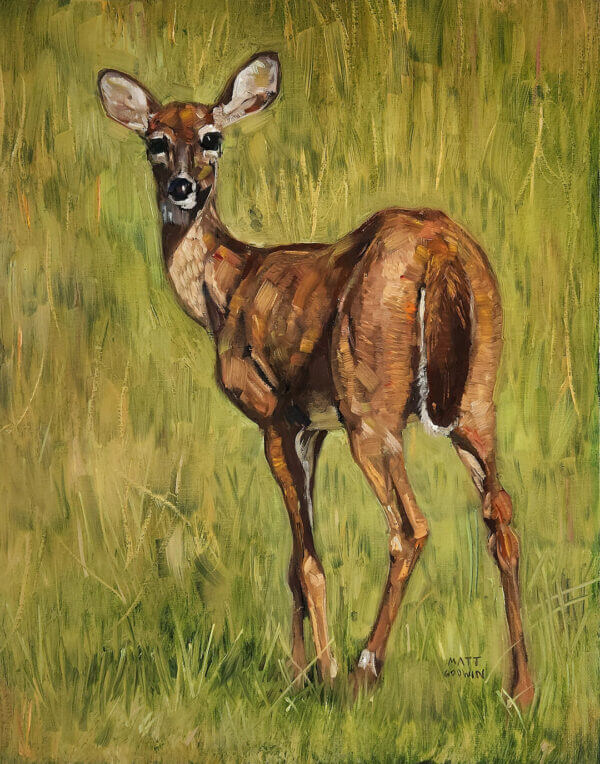 young deer original oil painting on canvas panel by matt godwin 11x14 - Buy Art for Sale By Artist - Handmade in South Florida USA