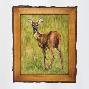 Young Deer, 11"x14" (Framed)