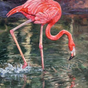 Flamingo Painting by Matt Godwin