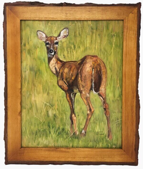 Young Deer Painting by Florida Artist Matt