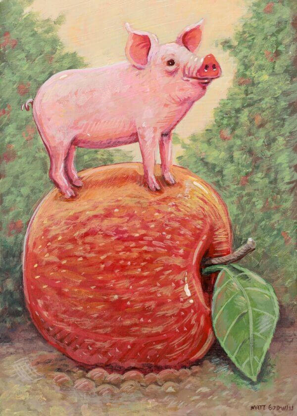 tiny pig in an apple orchard Artwork by Matt Godwin