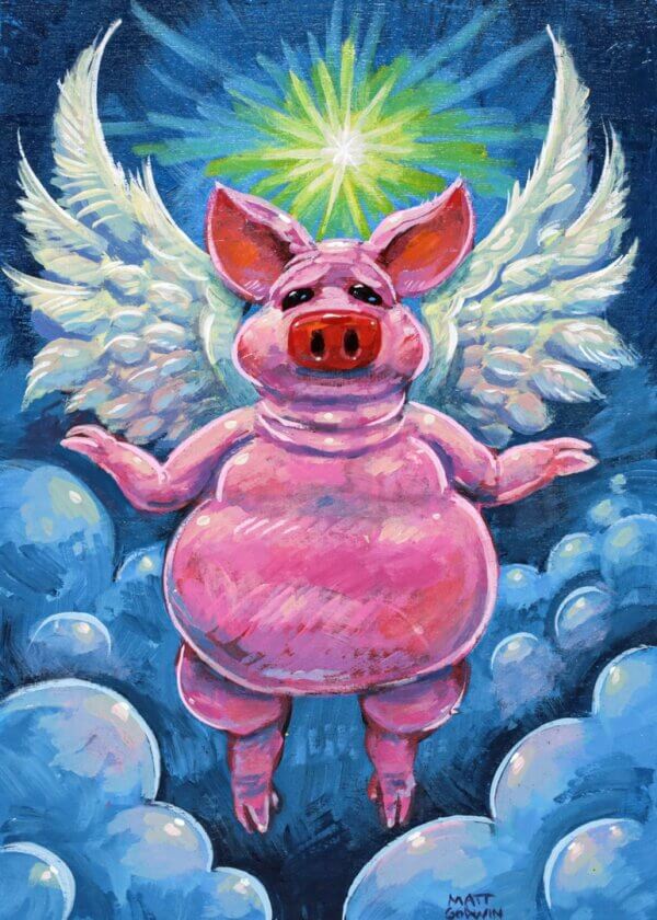 Angel Pig Artwork by Matt Godwin