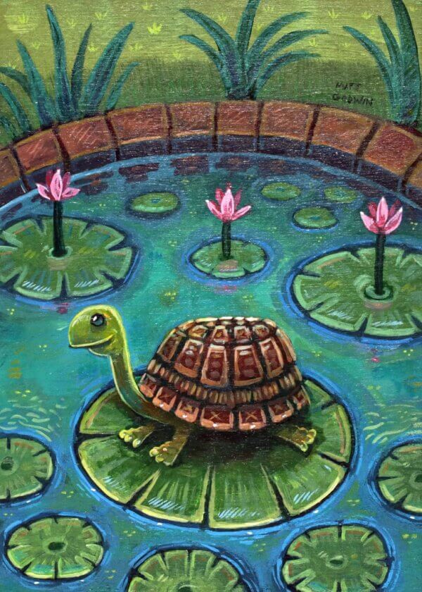 Lily Pad Turtle Artwork by Matt Godwin