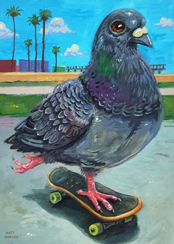 Skateboarding Pigeon Artwork by Matt Godwin