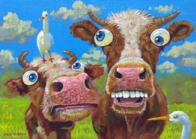 Florida Cows