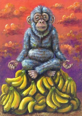 Meditating Monkey