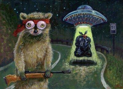 Raccoon Encounters UFO